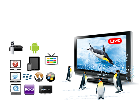 Complete Streaming Solutions